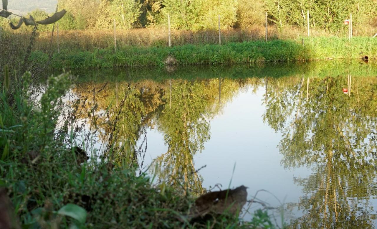 Casa Cu Fantana Villa Borlesti Buitenkant foto