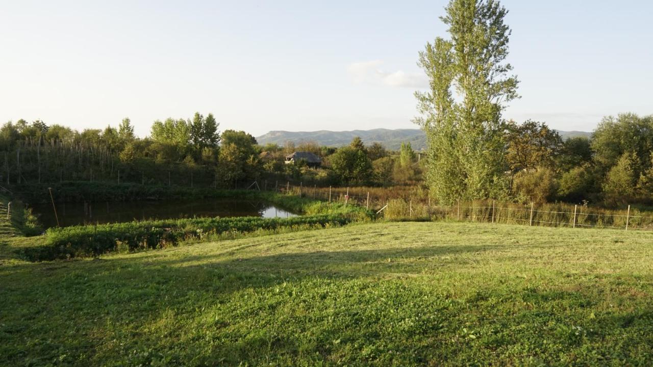 Casa Cu Fantana Villa Borlesti Buitenkant foto