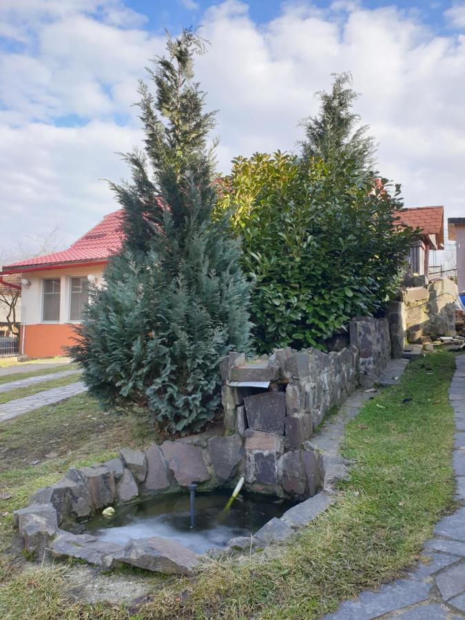 Casa Cu Fantana Villa Borlesti Buitenkant foto